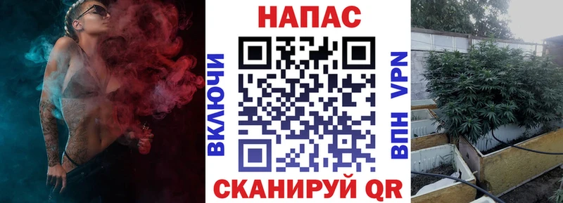 Бошки Шишки семена цены наркотик Иноземцево